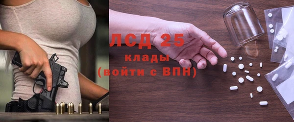 ГАЛЛЮЦИНОГЕННЫЕ ГРИБЫ Вязники