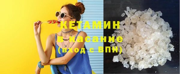 молекула духа Вяземский