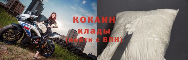 ГАЛЛЮЦИНОГЕННЫЕ ГРИБЫ Вязники