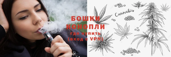 СК Волоколамск