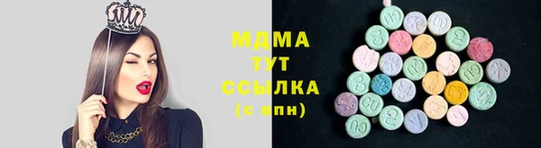 молекула духа Вяземский