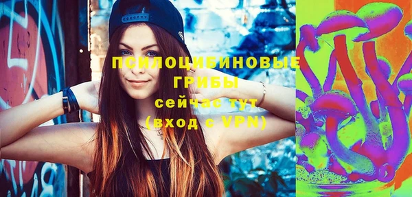 СК Волоколамск