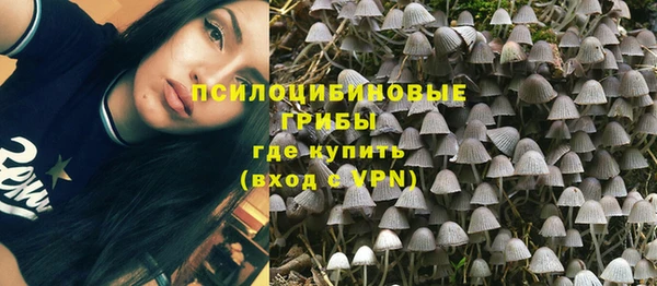 молекула духа Вяземский