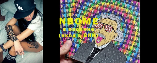 молекула духа Вяземский