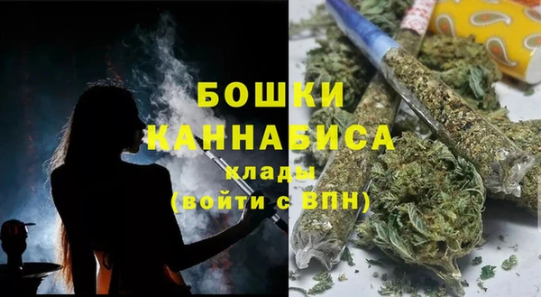 СК Волоколамск