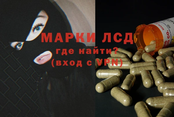 ГАЛЛЮЦИНОГЕННЫЕ ГРИБЫ Вязники