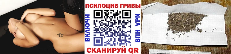 блэк спрут tor  продажа наркотиков  Великий Новгород  Псилоцибиновые грибы мицелий 